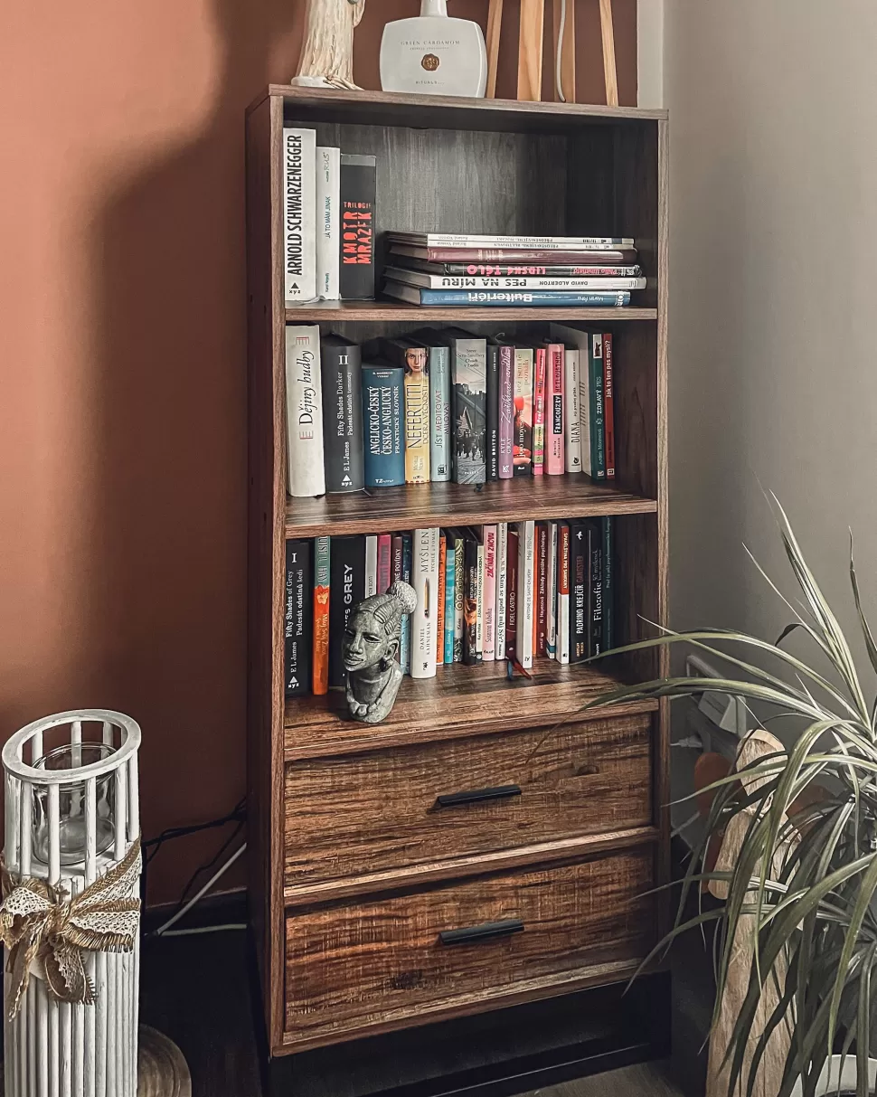 Clearance Beliani Regal Dunkler Holzfarbton / Schwarz Mit 3 Fachern Und 2 Schubladen Delta